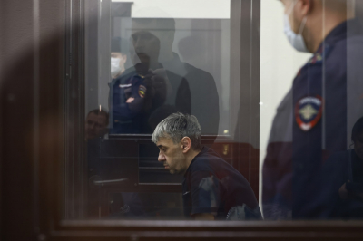 Прокуратура утвердила обвинение по делу о нападении собак на девочку в Васильево