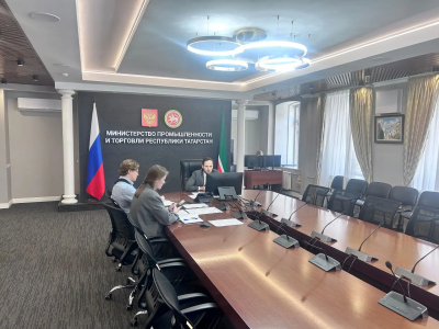 Татарстанским предпринимателям рассказали о возможностях в Абхазии