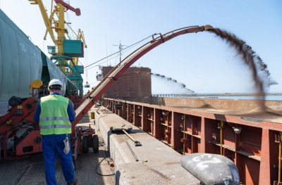 Аграрный сектор получит дополнительные субсидии на транспортировку зерна