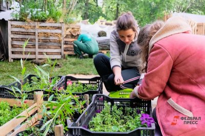 &laquo;Обогреватели или тепловые пушки&raquo;: председатель Союза дачников Подмосковь рассказал, как уберечь огород