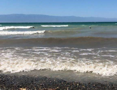 На Алаколе построят защитную дамбу