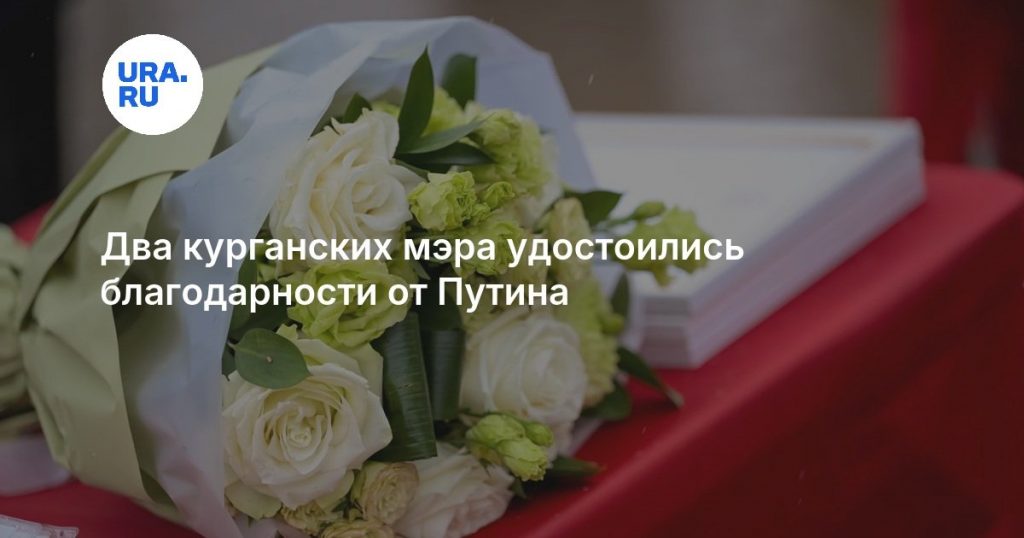 Два курганских мэра удостоились благодарности от Путина