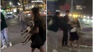 Женщина бросила свою собаку в прохожего во время конфликта в Алматы (видео)