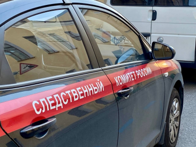 В Петербурге возбудили уголовное дело против матери погибшего девятилетнего Паши