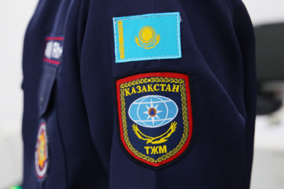 Спасатели поймали две змеи в доме жительницы Алатау