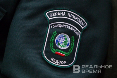 Поступления от экологических платежей выросли в 2025 году