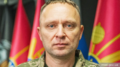 Сенатор Кастюкевич сравнил украинские отставки с дракой бульдогов
