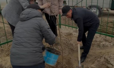 В Курмангазинском районе сажают деревья
