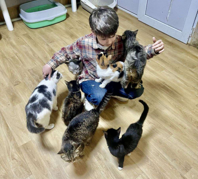 Столичный приют «Я живой» не только спасает животных, но и помогает людям стать добрее