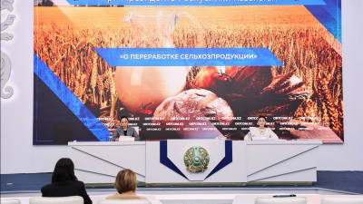 Казахстан планирует довести долю переработки сельхозпродукции до 70% в 2028 году