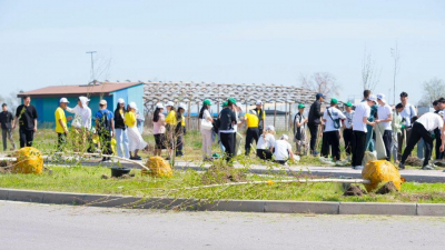 Аллея волонтеров появилась в Алматинской области
