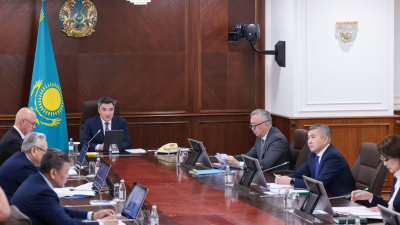 Инертной, слабой и нерешительной назвал Бектенов работу МИО