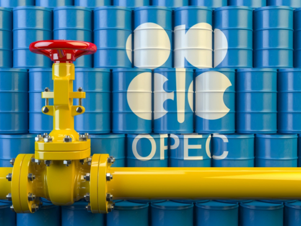 Саткалиев объяснил руководству ОПЕК причину роста добычи нефти в Казахстане