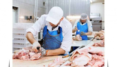 Рост производства мяса в Казахстане: уверенная динамика развития отрасли