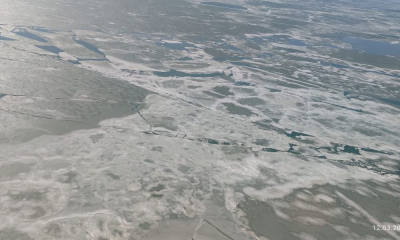 Воздушный патруль зафиксировал 150 тюленей в Каспийском море